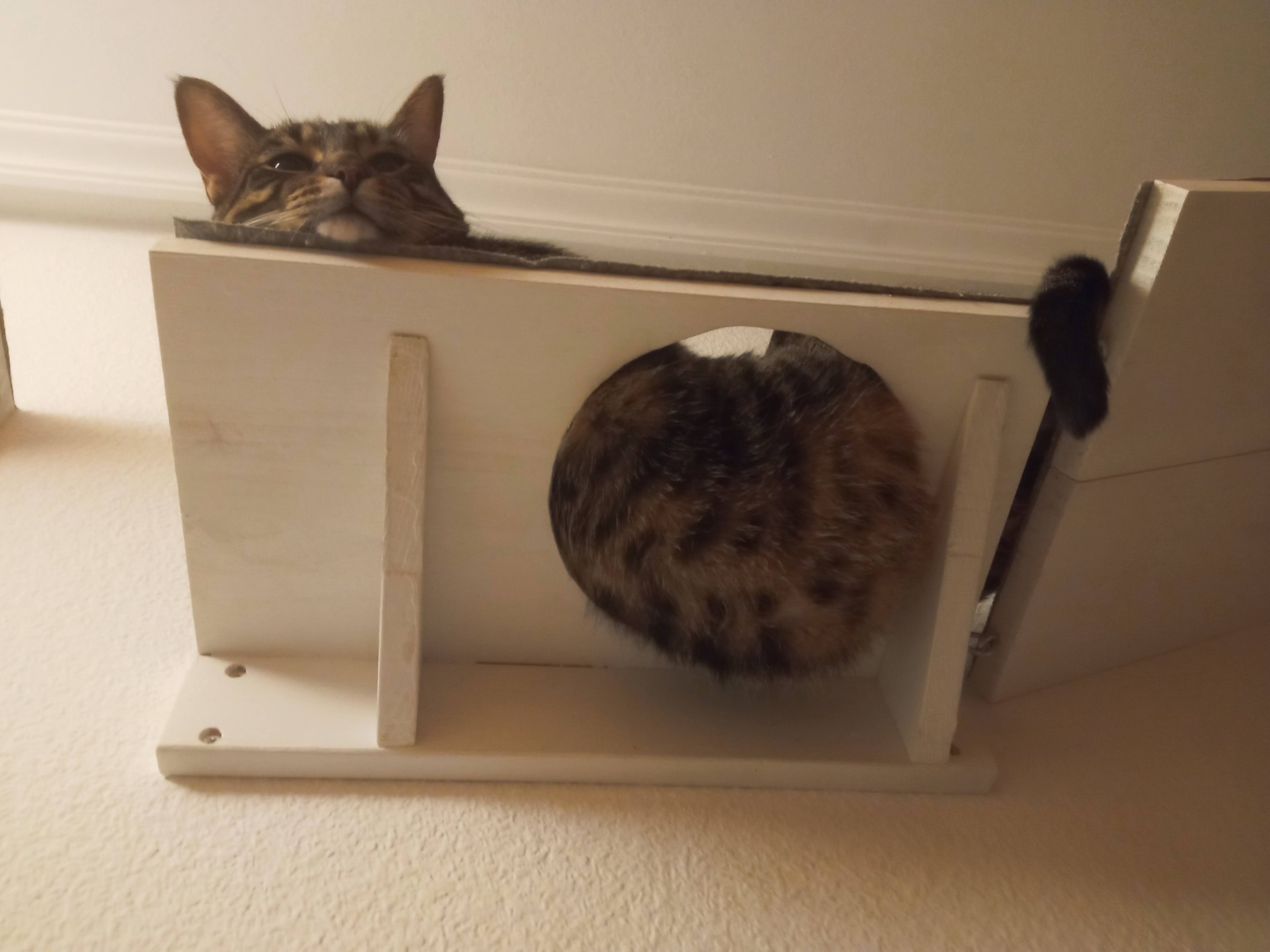 Estructura Multi-nivel