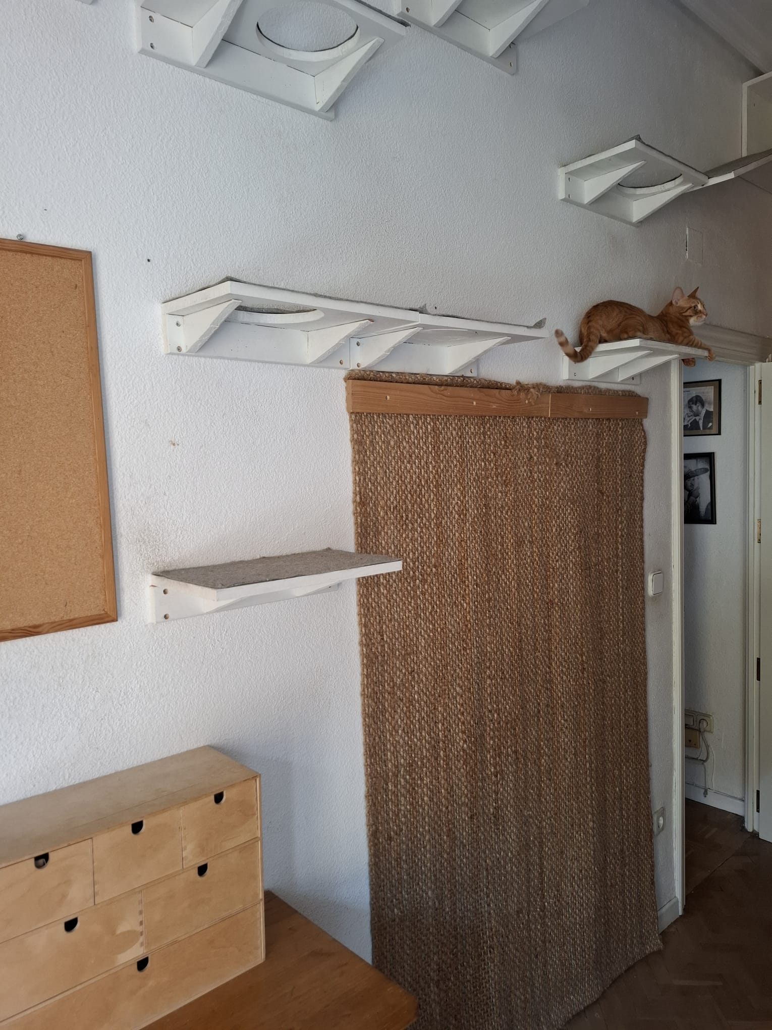 Estructura con Rascador